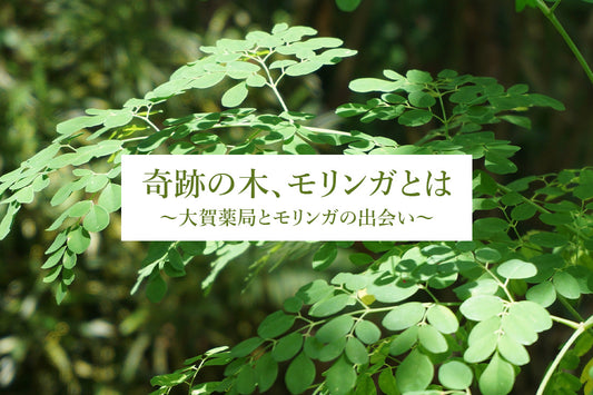奇跡の木、モリンガとは? ~あなたの毎日に寄り添うスーパーフード~