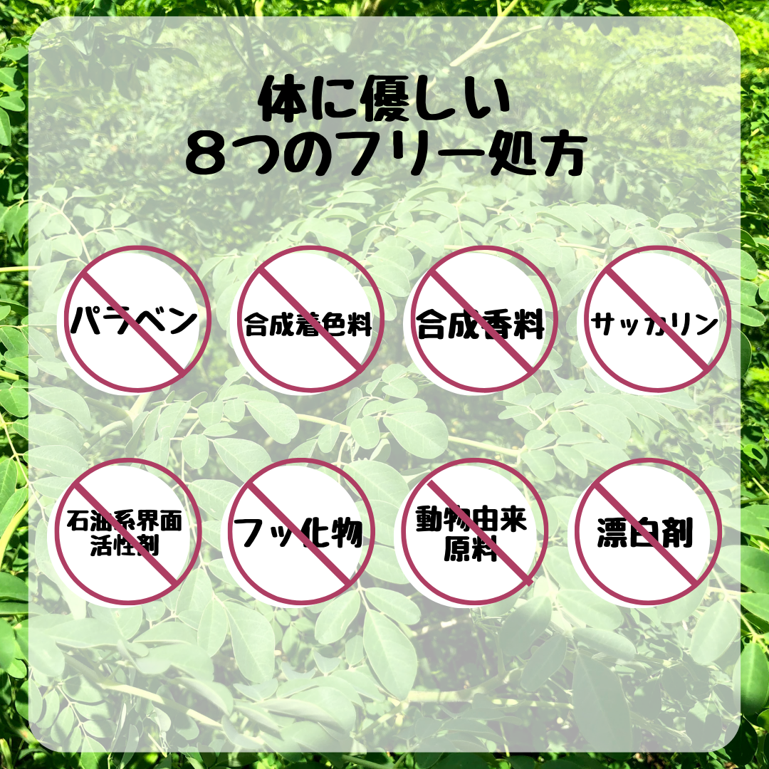 歯磨き粉 モリンガデンタルペースト