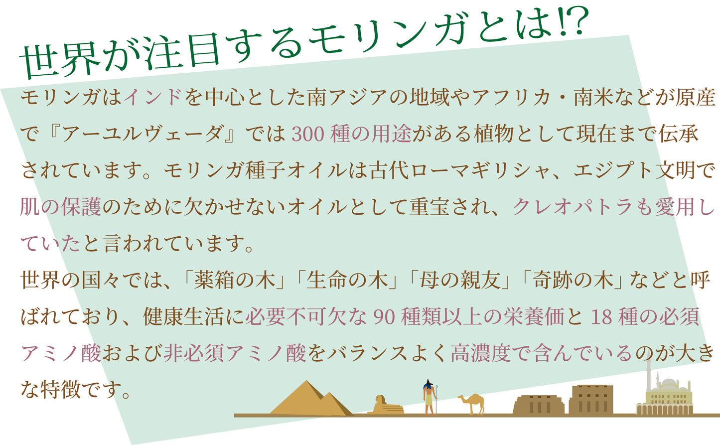 ミラクルシードオイル 10ml(初回1回限り)