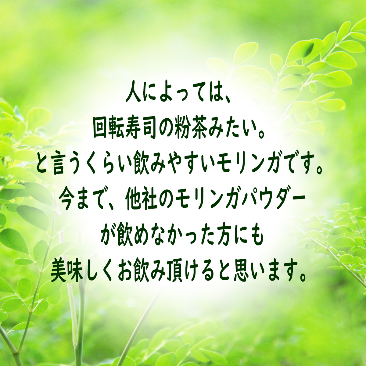 【有機JAS認証】沖縄県産100% 有機モリンガ粉末パウダー 30g