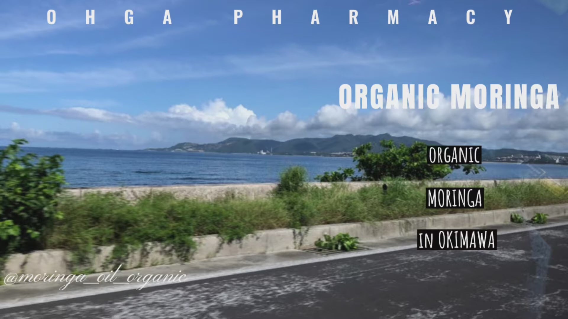有機JAS認証】沖縄県産100% 有機モリンガ粉末パウダー 30g – 大賀薬局